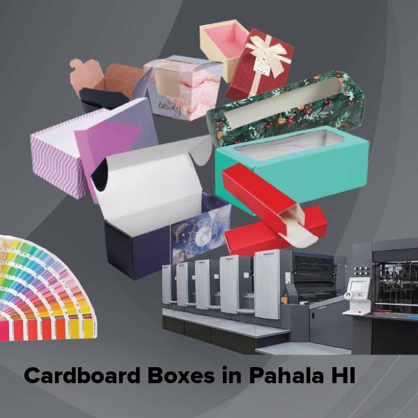 Cardboard boxes in pahala hi