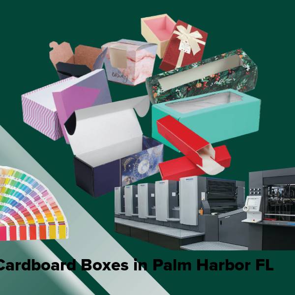 Cardboard boxes in palm harbor fl