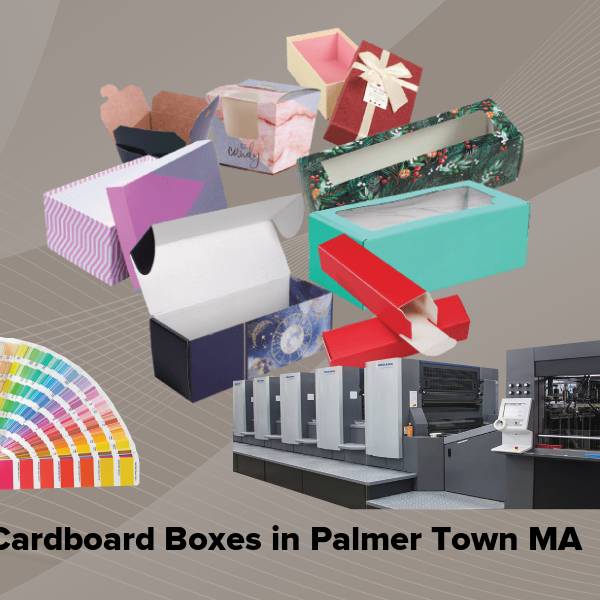 Cardboard boxes in palmer town ma