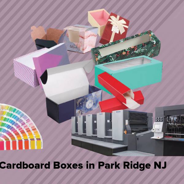 Cardboard boxes in park ridge nj