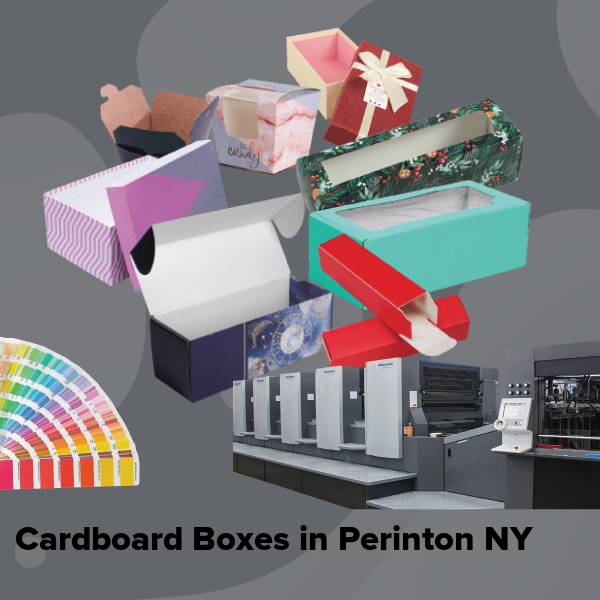 Cardboard boxes in perinton ny