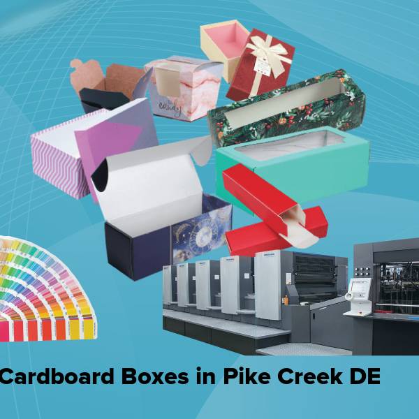 Cardboard boxes in pike creek de