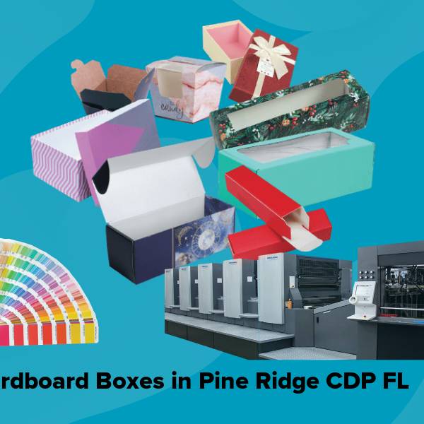 Cardboard boxes in pine ridge cdp fl