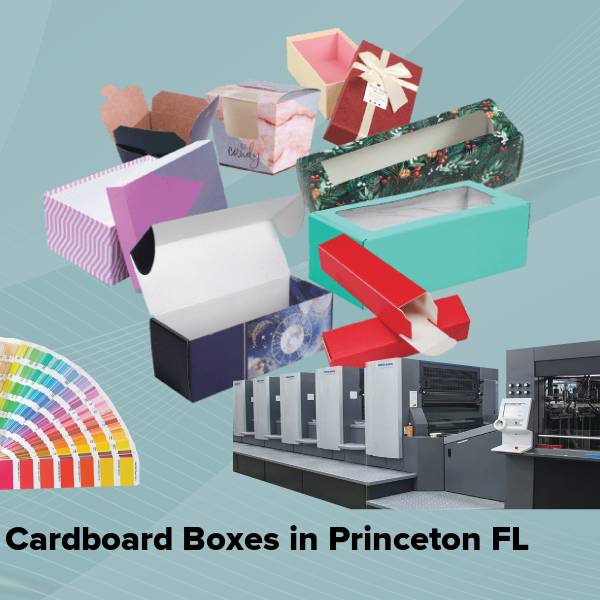 Cardboard boxes in princeton fl