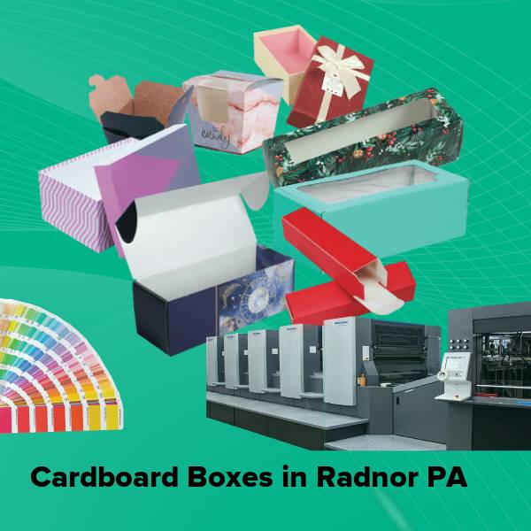 Cardboard boxes in radnor pa