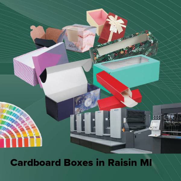 Cardboard boxes in raisin mi