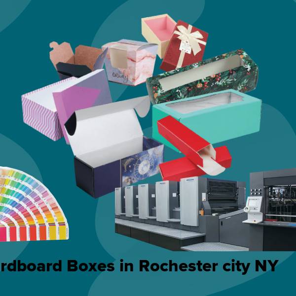 Cardboard boxes in rochester city ny