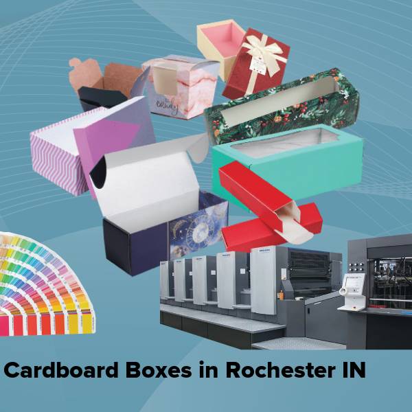 Cardboard boxes in rochester in