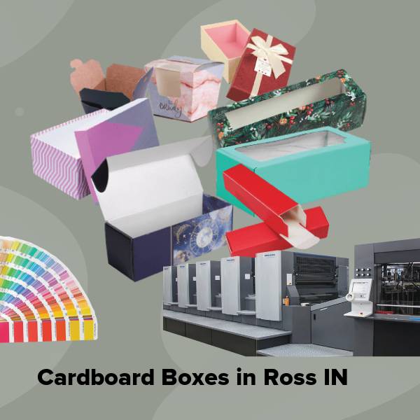 Cardboard boxes in ross in