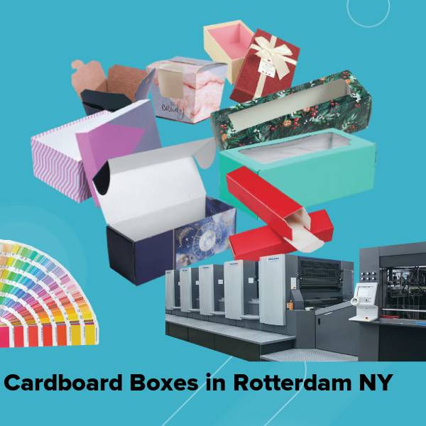 Cardboard boxes in rotterdam ny