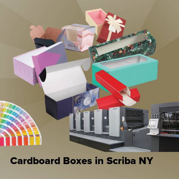 Cardboard boxes in scriba ny