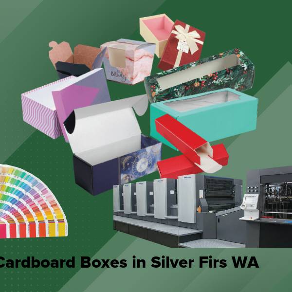 Cardboard boxes in silver firs wa