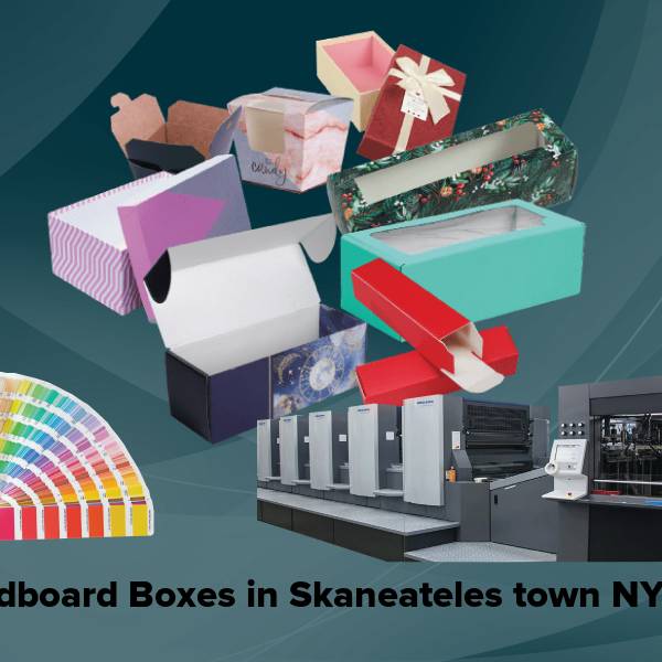 Cardboard boxes in skaneateles town ny