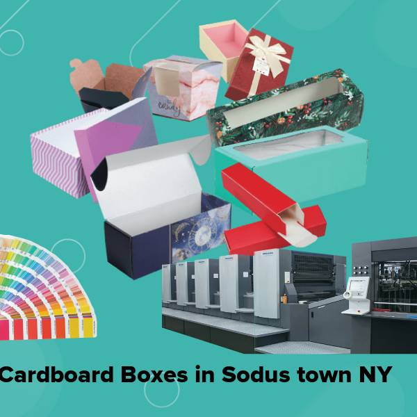 Cardboard boxes in sodus town ny