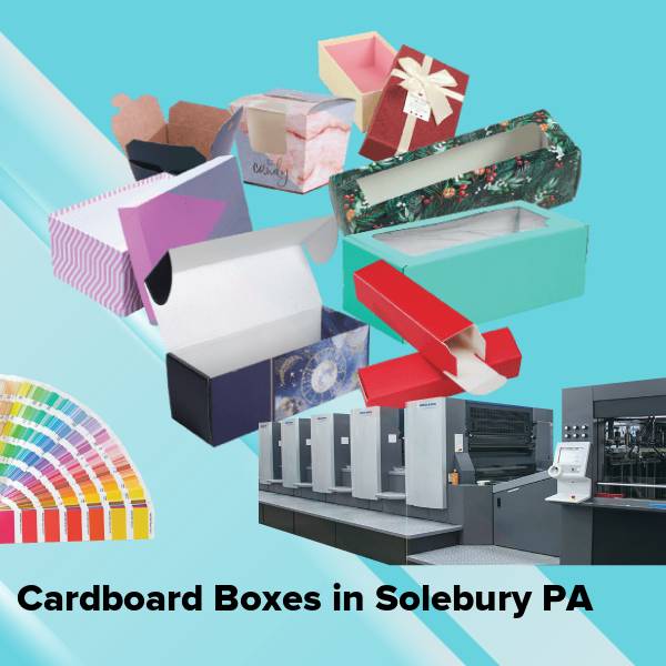 Cardboard boxes in solebury pa