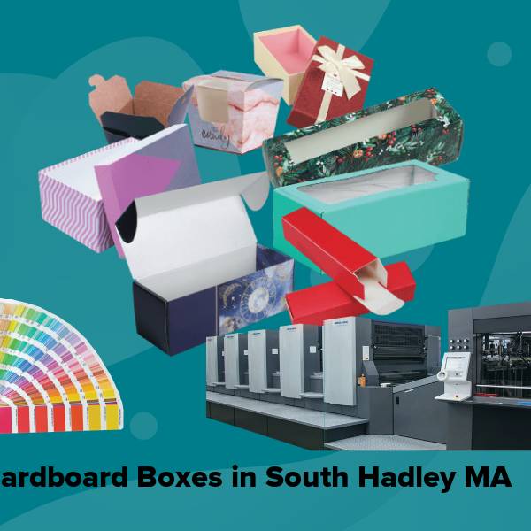 Cardboard boxes in south hadley ma