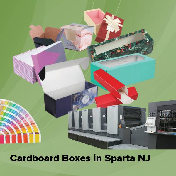 Cardboard boxes in sparta nj