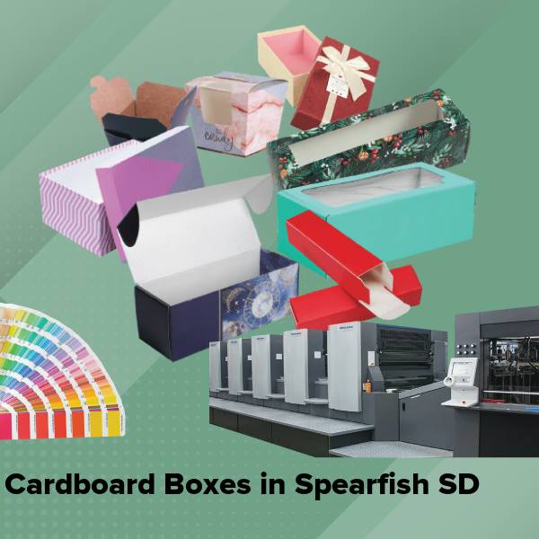 Cardboard boxes in spearfish sd