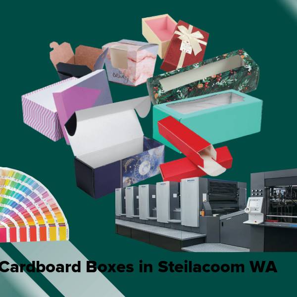 Cardboard boxes in steilacoom wa