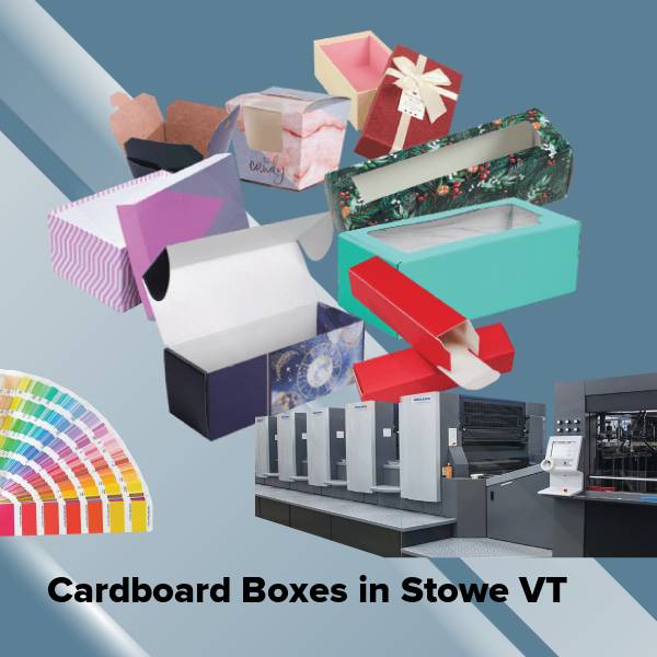 Cardboard boxes in stowe vt
