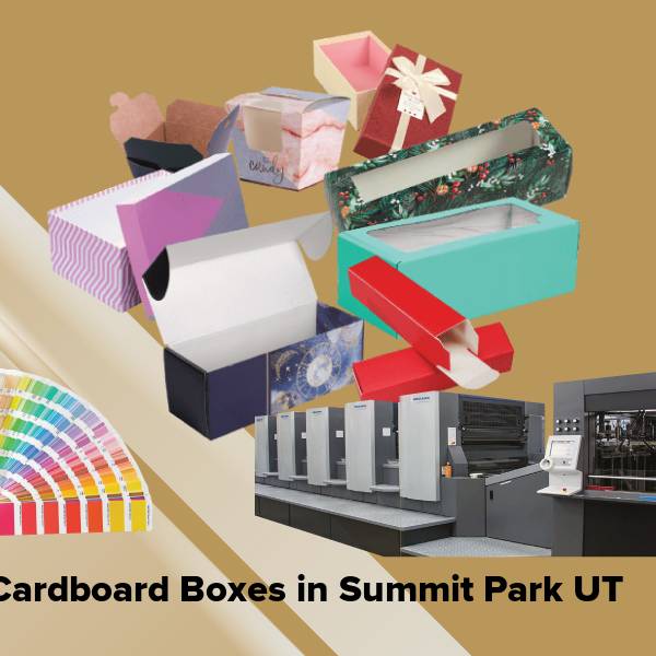 Cardboard boxes in summit park ut