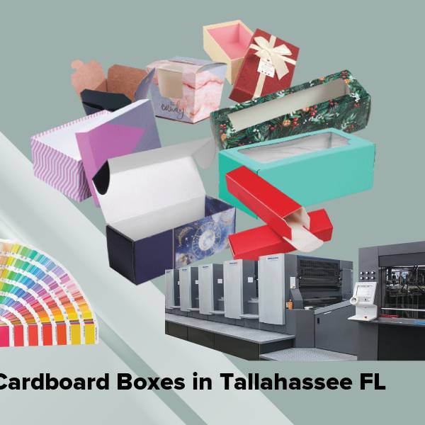 Cardboard boxes in tallahassee fl