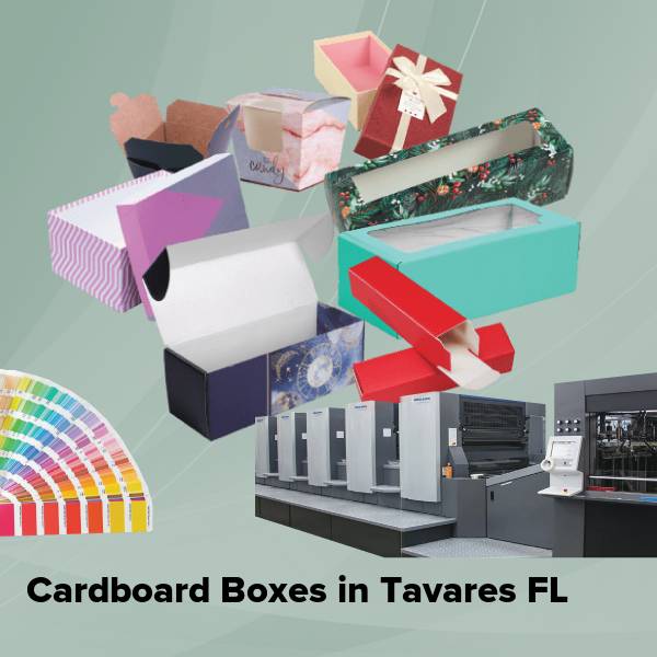 Cardboard boxes in tavares fl