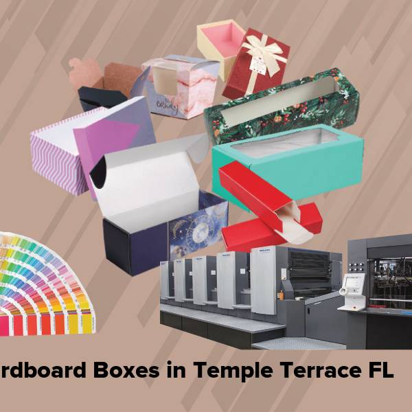Cardboard boxes in temple terrace fl