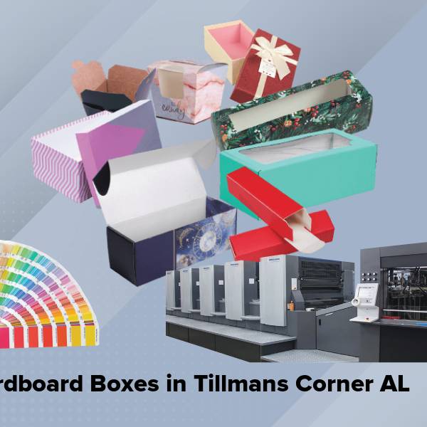 Cardboard boxes in tillmans corner al