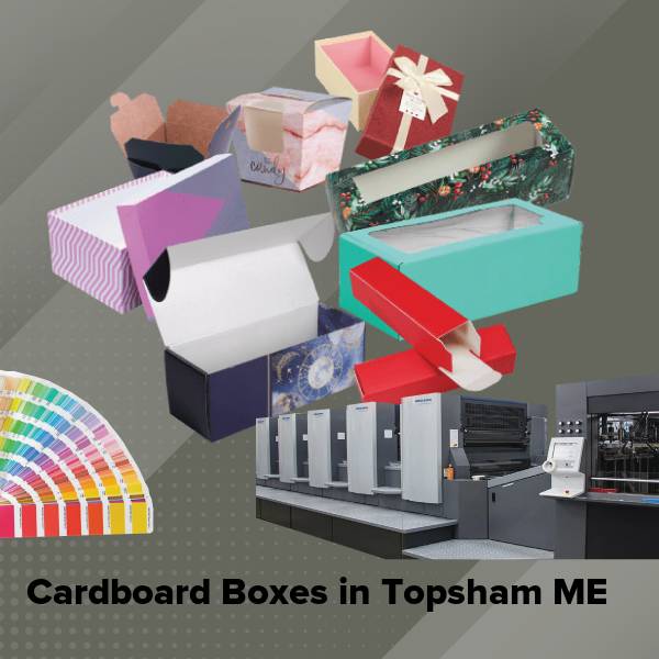 Cardboard boxes in topsham me
