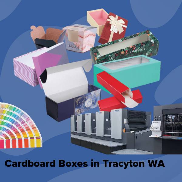 Cardboard boxes in tracyton wa