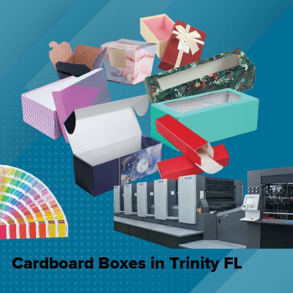 Cardboard boxes in trinity fl