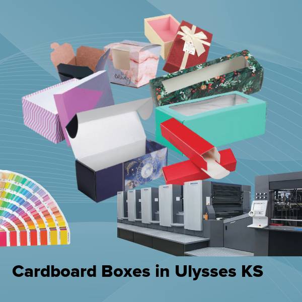 Cardboard boxes in ulysses ks