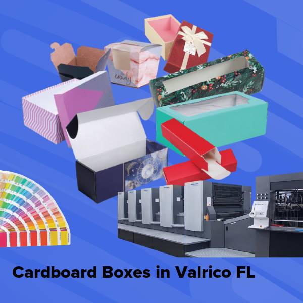 Cardboard boxes in valrico fl