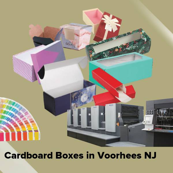 Cardboard boxes in voorhees nj