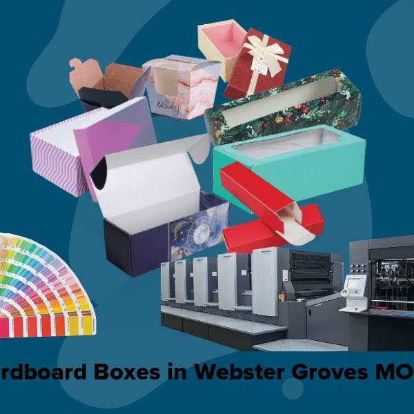 Cardboard boxes in webster groves mo