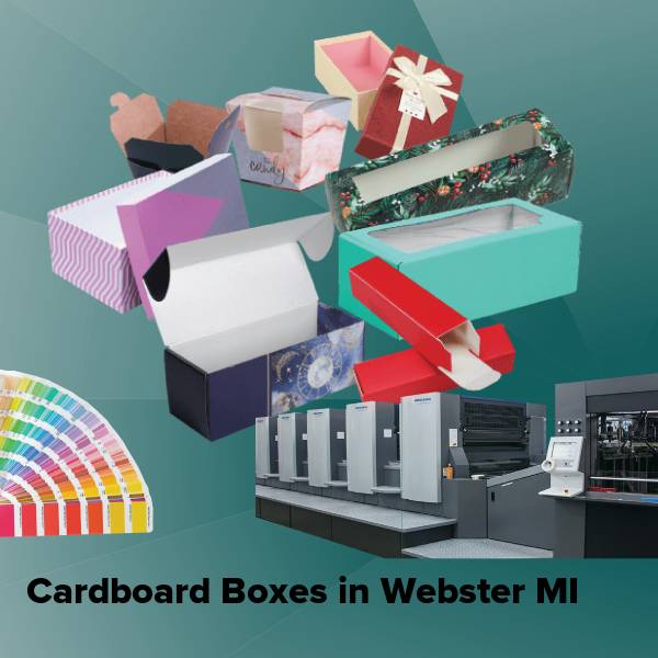 Cardboard boxes in webster mi