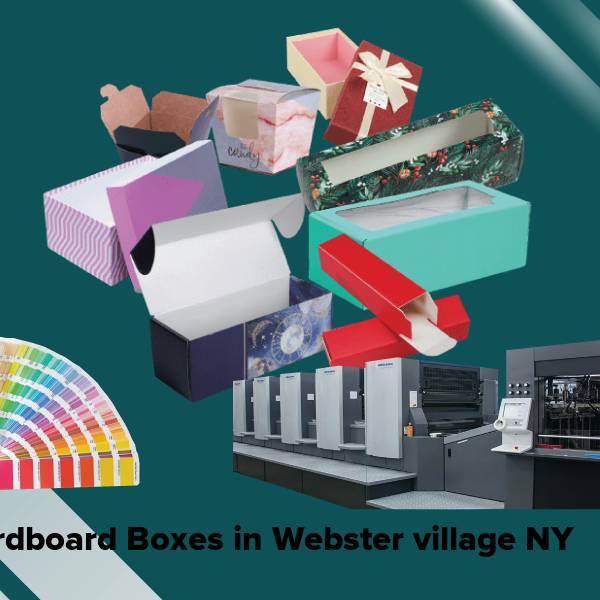 Cardboard boxes in webster village ny