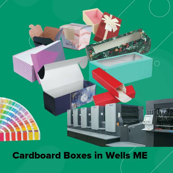 Cardboard boxes in wells me