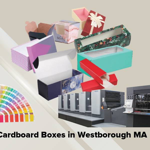 Cardboard boxes in westborough ma