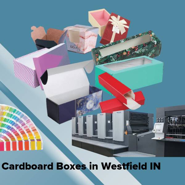 Cardboard boxes in westfield in