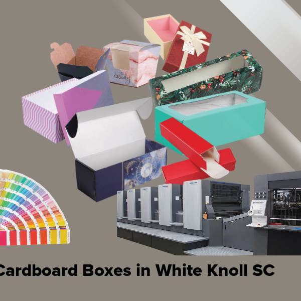 Cardboard boxes in white knoll sc