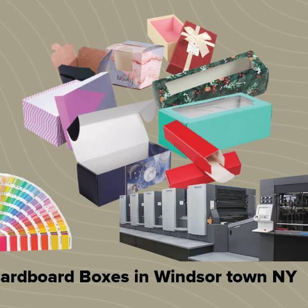 Cardboard boxes in windsor town ny