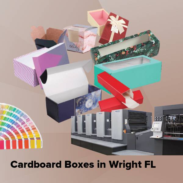 Cardboard boxes in wright fl