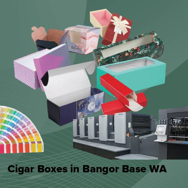 Cigar boxes in bangor base wa