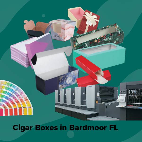 Cigar boxes in bardmoor fl