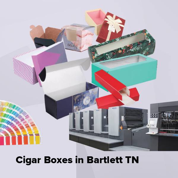 Cigar boxes in bartlett tn