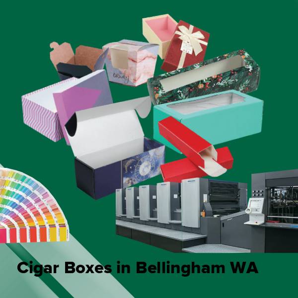 Cigar boxes in bellingham wa