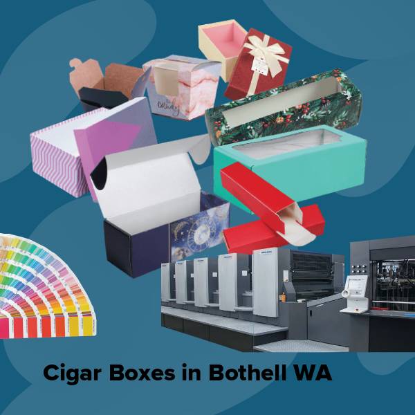 Cigar boxes in bothell wa