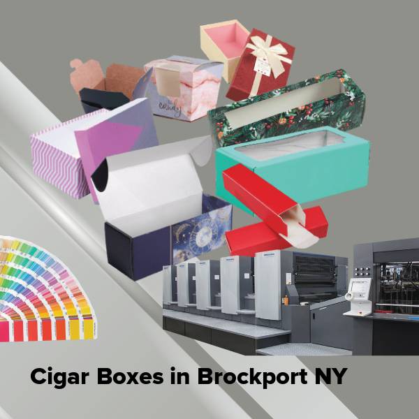 Cigar boxes in brockport ny
